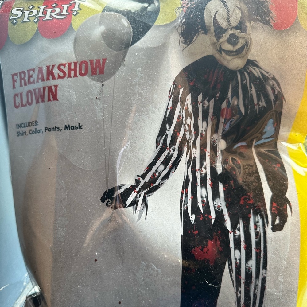 Adult Halloween costume